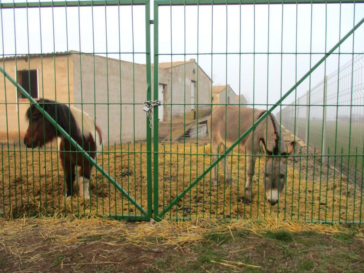 Casa Tuerta Βίλα Alcalá de Moncayo Εξωτερικό φωτογραφία