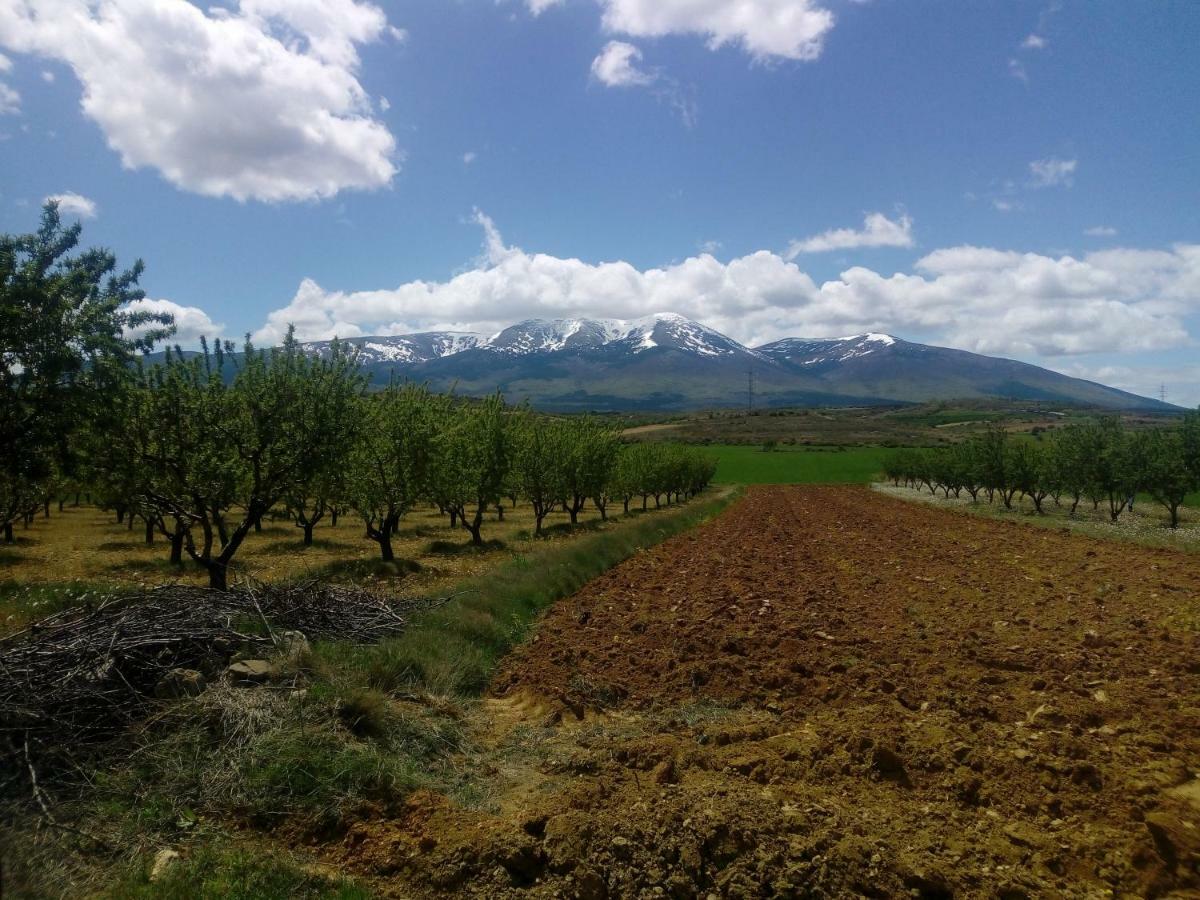 Casa Tuerta Βίλα Alcalá de Moncayo Εξωτερικό φωτογραφία